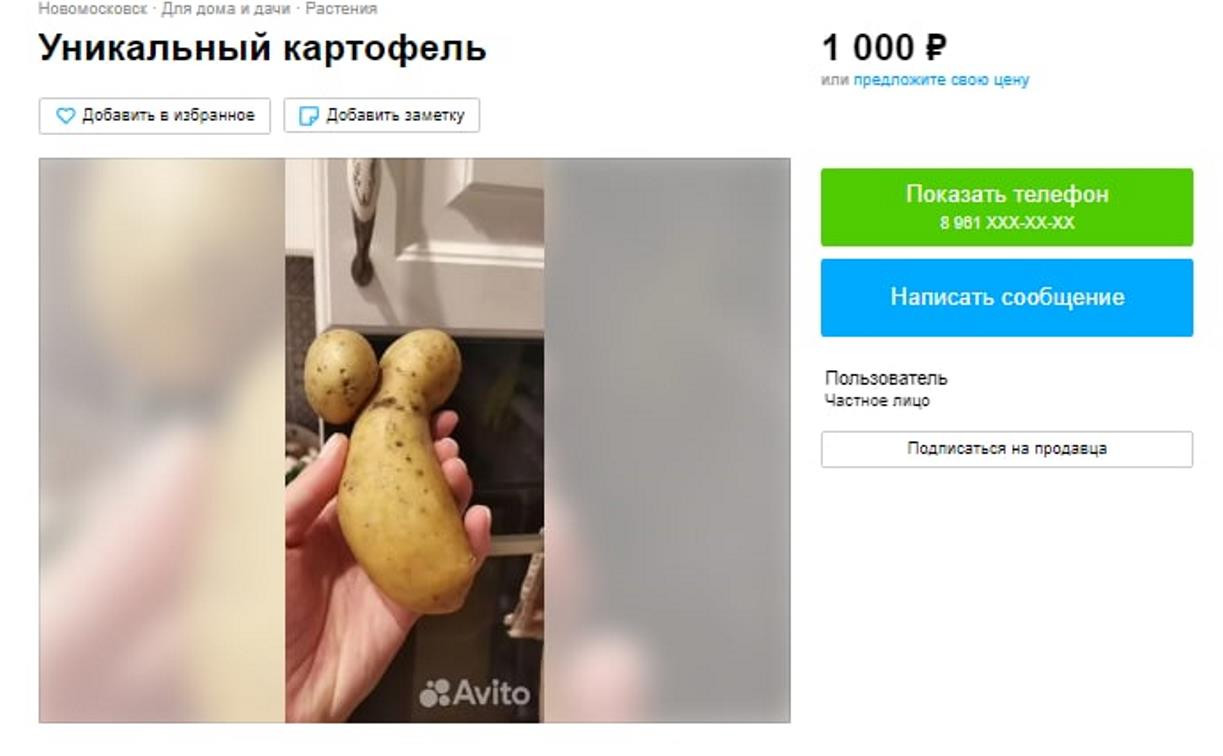 Картофель против безбрачия и заряженная на удачу одежда: что продают на Авито туляки