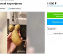 Картофель против безбрачия и заряженная на удачу одежда: что продают на Авито туляки