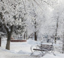 Погода в Туле на выходные: лёгкий мороз, снег и облачность