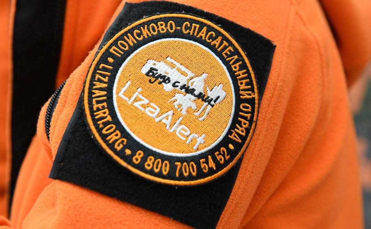Отряд «ЛизаАлерт» завершил поиски двух мужчин, пропавших в Тульской области
