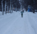 В Тульской области сохранится аномально холодная погода