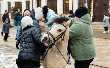 Жизнь Тулы и области