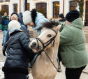 Как в Туле отпраздновали Масленицу: фоторепортаж 