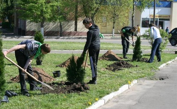 Жители Новомосковска высадили более 200 деревьев