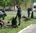 Жители Новомосковска высадили более 200 деревьев