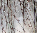 Погода в Туле 26 декабря: до -3, гололед и снег с дождем
