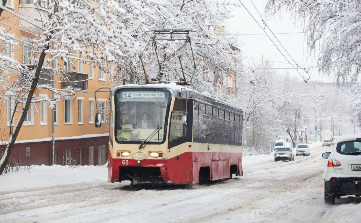 Погода в Туле 3 декабря: снегопад и порывистый ветер