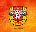 Контрольный матч между «Арсеналом» и ОФК «Белград» отменён