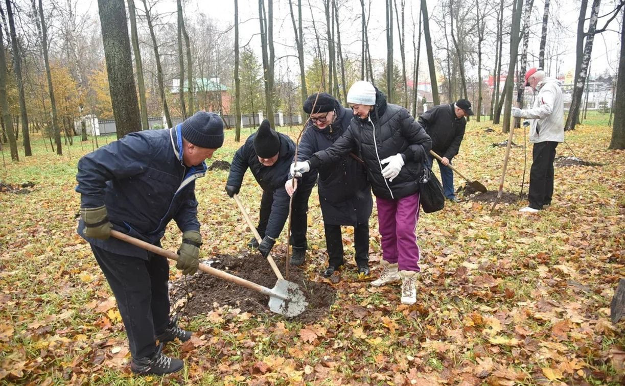 В Комсомольском парке Тулы высадили 40 саженцев липы