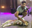 Арсеналец Максим Беляев приютил бездомную собаку в Туле