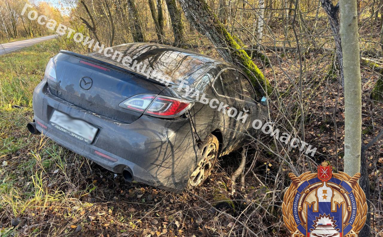 В Щекинском районе отец и двое детей попали в ДТП из-за пьяного водителя на Mazda