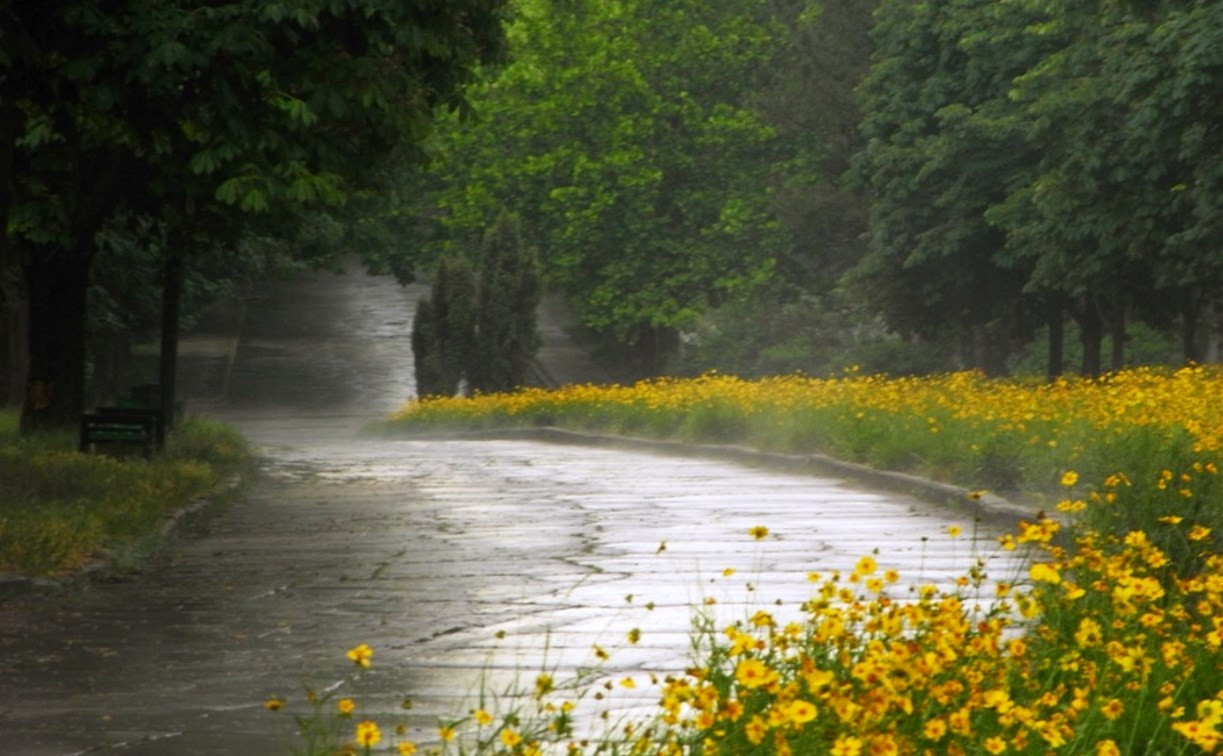 Погода в Туле на выходные: дождь с грозой и переменная облачность