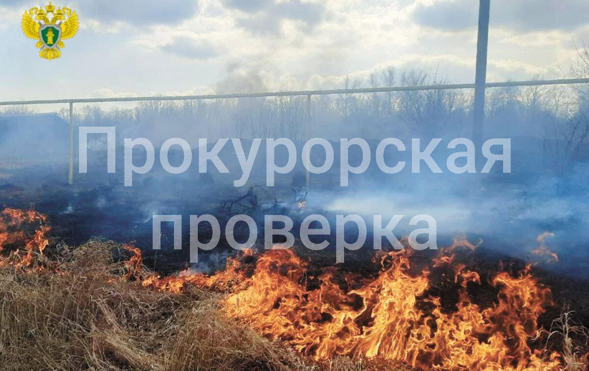 В Туле прокуратура проводит проверку по факту масштабных пожаров вблизи деревень 