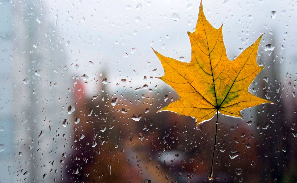 Погода в Туле 5 октября: облачно, мокро и до +15 градусов