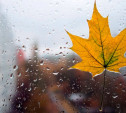 Погода в Туле 5 октября: облачно, мокро и до +15 градусов