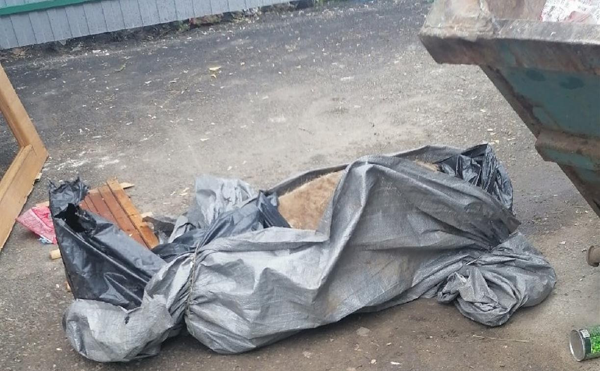 В Новомосковске в мусорку выкинули труп телёнка 