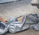 В Новомосковске в мусорку выкинули труп телёнка 