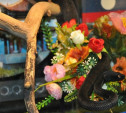 В конкурсе красоты среди змей победила мисс Япония