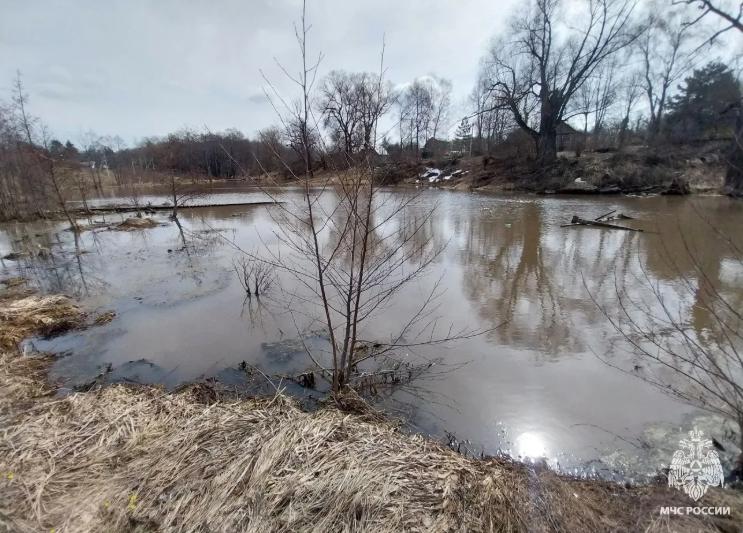 Тело женщины извлекли из пруда в Заокском районе Тульской области 