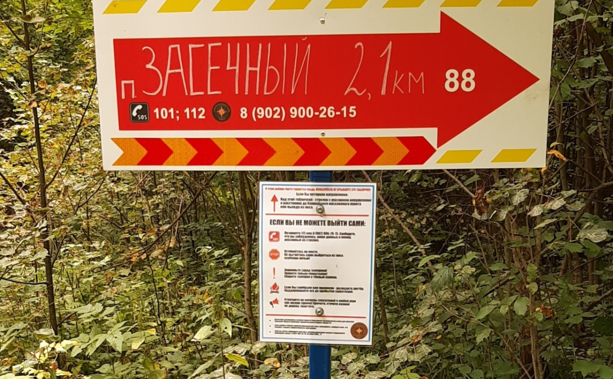 В Веневском районе волонтёры дистанционно помогли заплутавшему грибнику выйти из леса