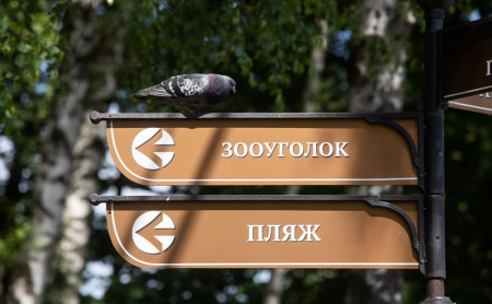 Жизнь Тулы и области