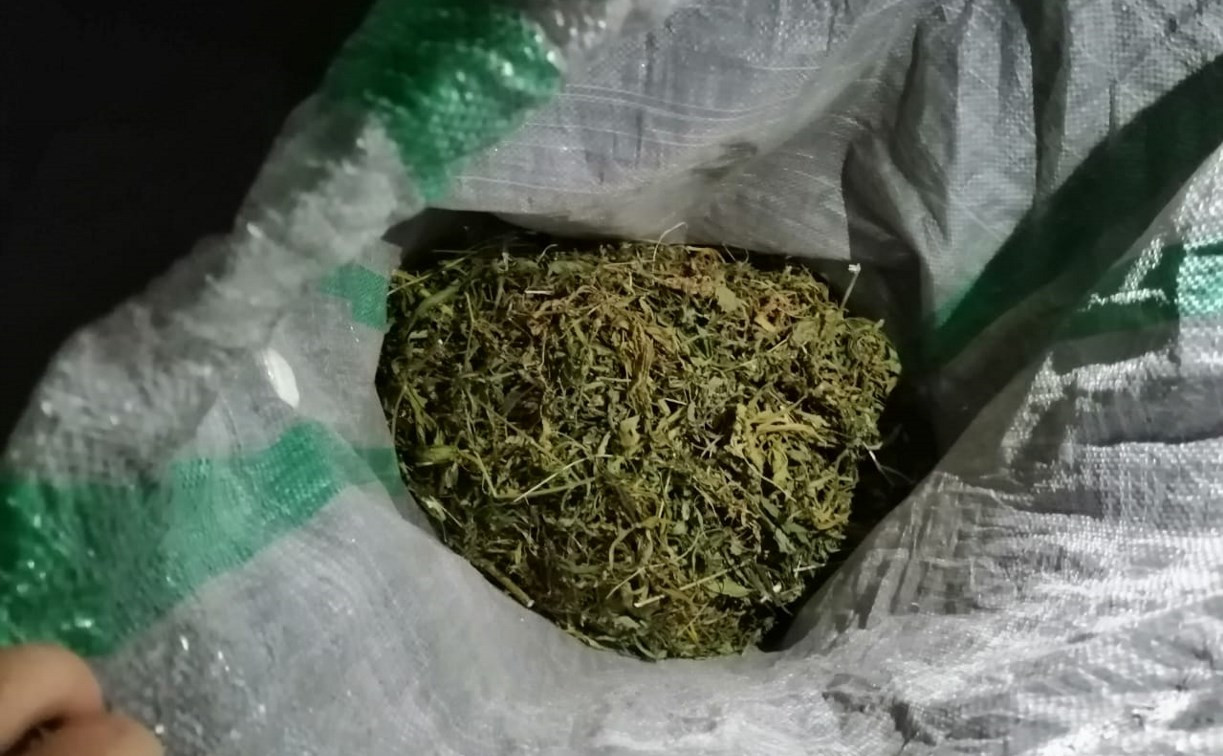 Житель Киреевска хранил в своем гараже почти 4 кг марихуаны