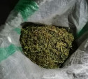 Житель Киреевска хранил в своем гараже почти 4 кг марихуаны