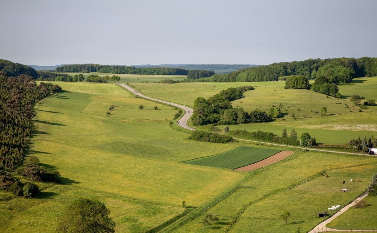 В Веневском районе фермер вернул свой участок спустя два года борьбы с сорняками