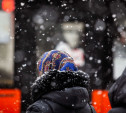 Погода в Туле 13 декабря: снова снежно и морозно