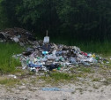 В Туле вывезли более 3000 кубометров мусора