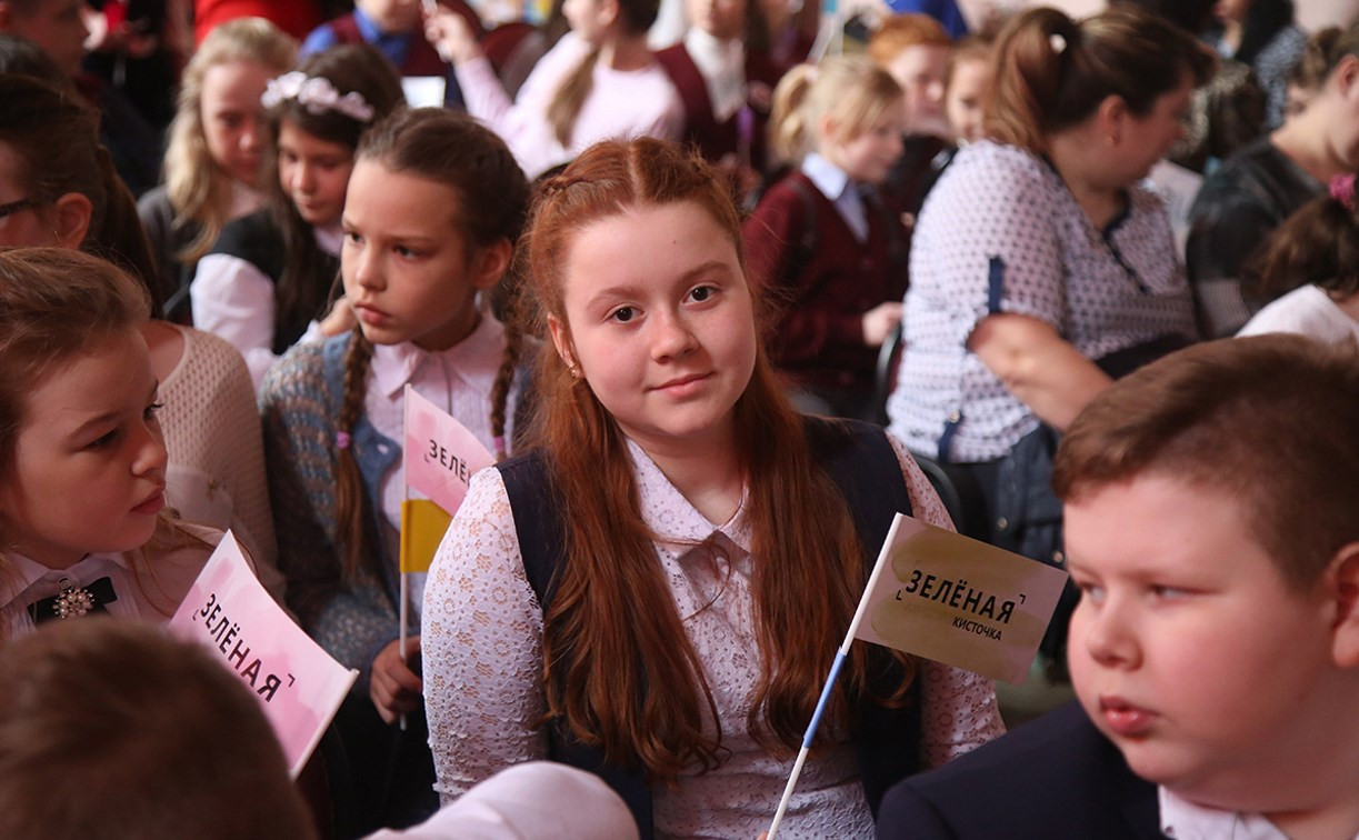 Тульские школьники стали участниками Всероссийского проекта «Зеленая кисточка»