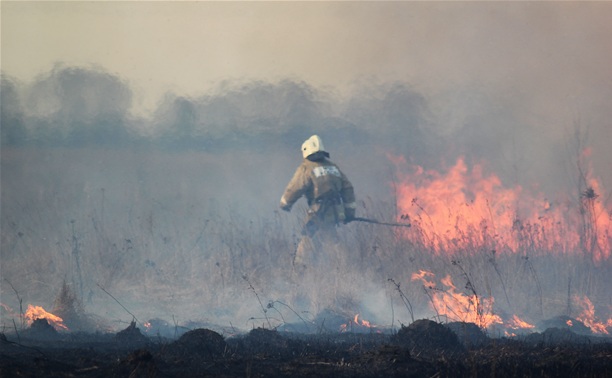 Сразу в нескольких районах Тульской области загорелись поля
