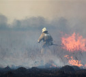 Сразу в нескольких районах Тульской области загорелись поля