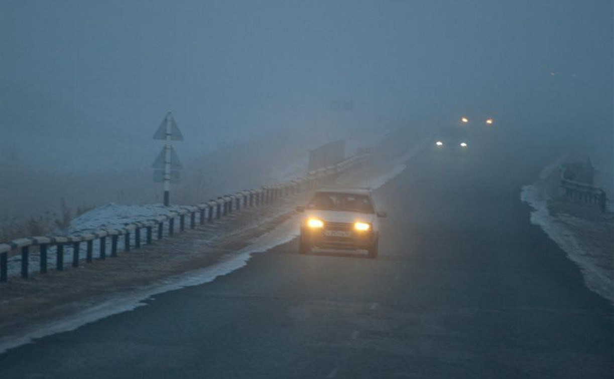 Погода в Туле 18 января: туман, гололедица, до +2 градусов