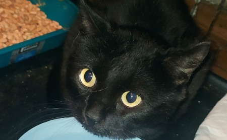 Жизнь Тулы и области