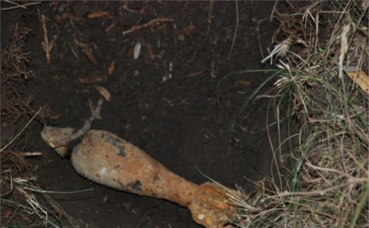 В Заокском районе в центре деревни обнаружили 6 мин времён войны