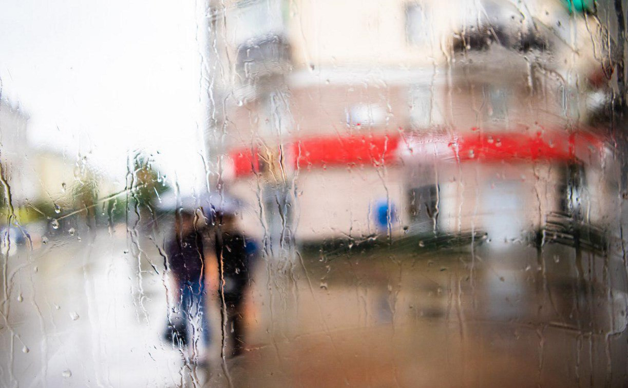 Погода в Туле 29 июля: жарко, ветрено и небольшой дождь