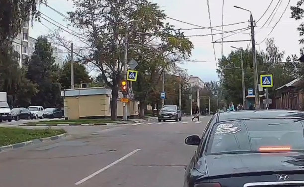 «Накажи автохама»: водитель Lada Vesta засмотрелся на пешехода и проехал на красный?