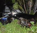 Под Тулой неопытный водитель на Renault улетел с дороги и врезался в дерево
