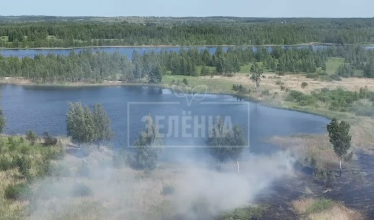 В Кимовском районе сгорело Лупишкинское болото