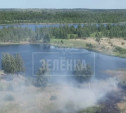 В Кимовском районе сгорело Лупишкинское болото