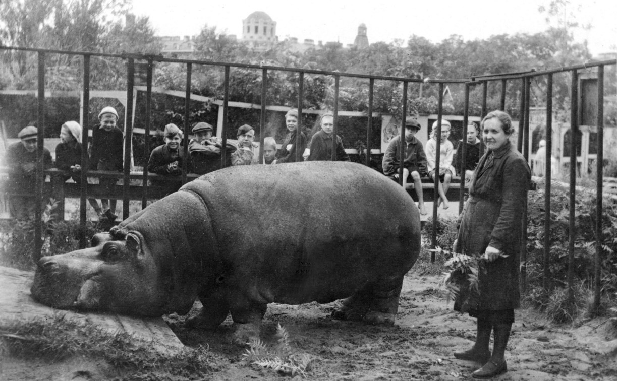 Туляков ждут на экскурсию «Зоопарки в военные годы»