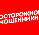 В Новомосковске мошенники представляются сотрудниками прокуратуры и просят «помочь материально»