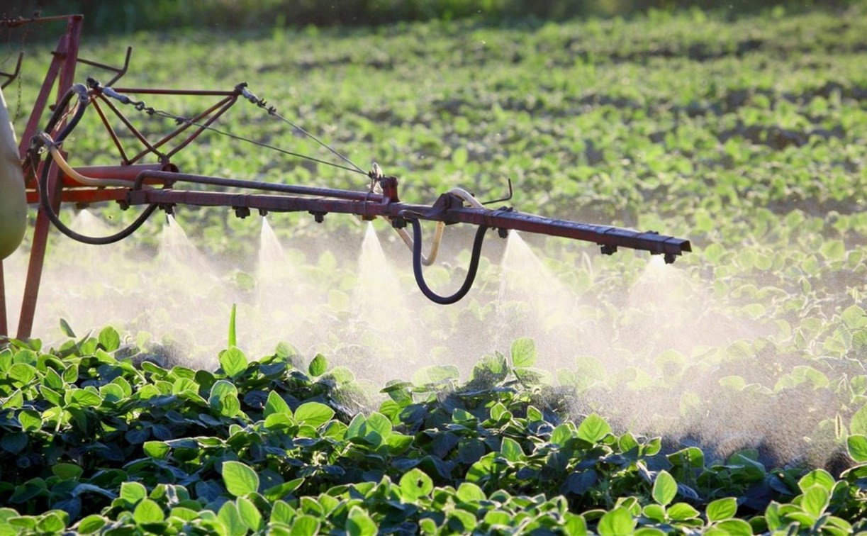 Сельхозпредприятие чуть не отравило насаждения щекинского фермера пестицидами 