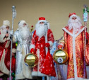 В Центральном парке состоится «Битва Дедов Морозов»