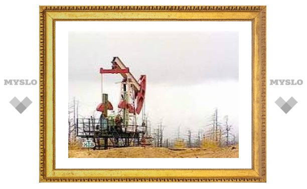 Роснедра пообещали в 2007 году раздать 300 нефтегазовых лицензий