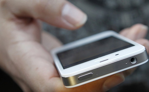 Туляк отсидит 10 месяцев за кражу iPhone у друга