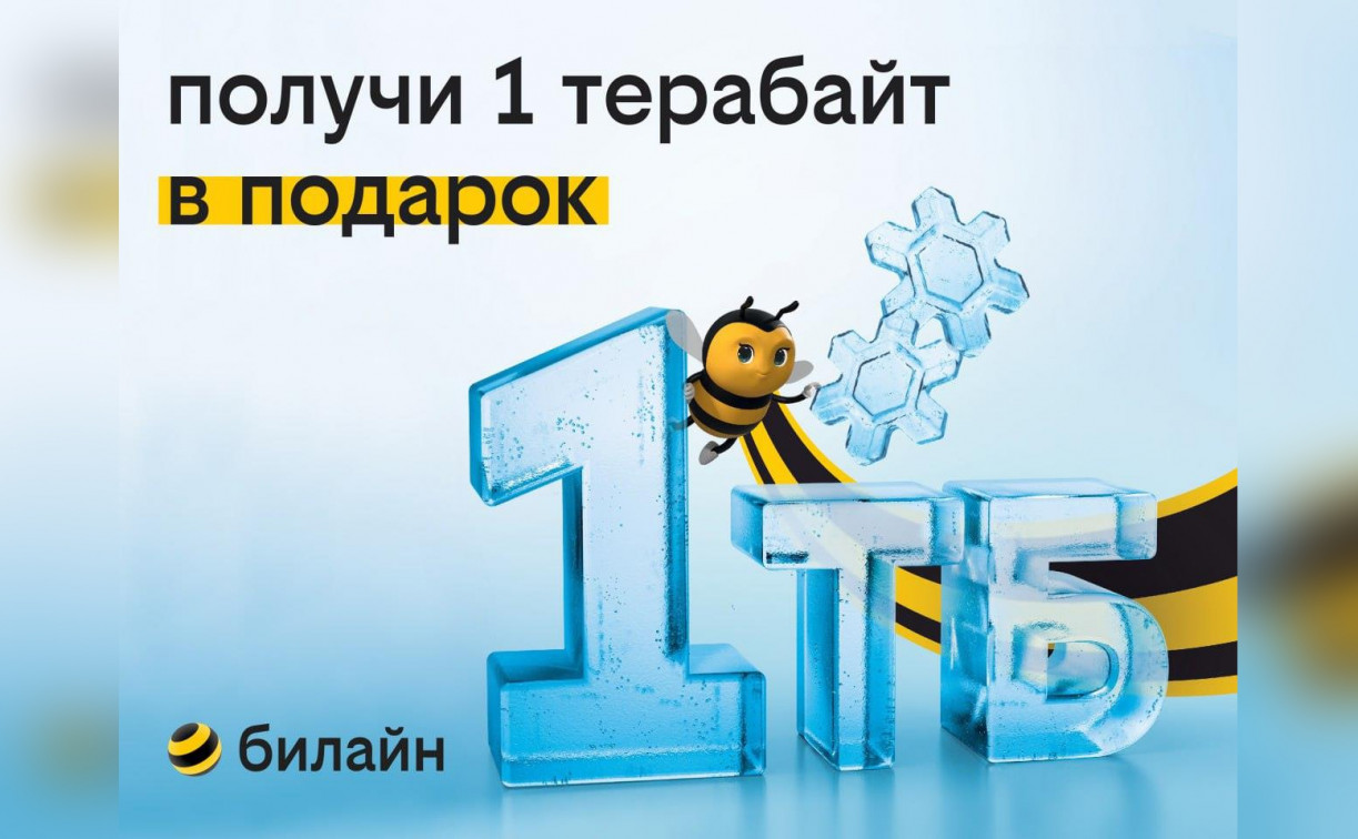 1 терабайт для всех: билайн дарит возможность забыть о трафике на целый год