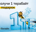 1 терабайт для всех: билайн дарит возможность забыть о трафике на целый год