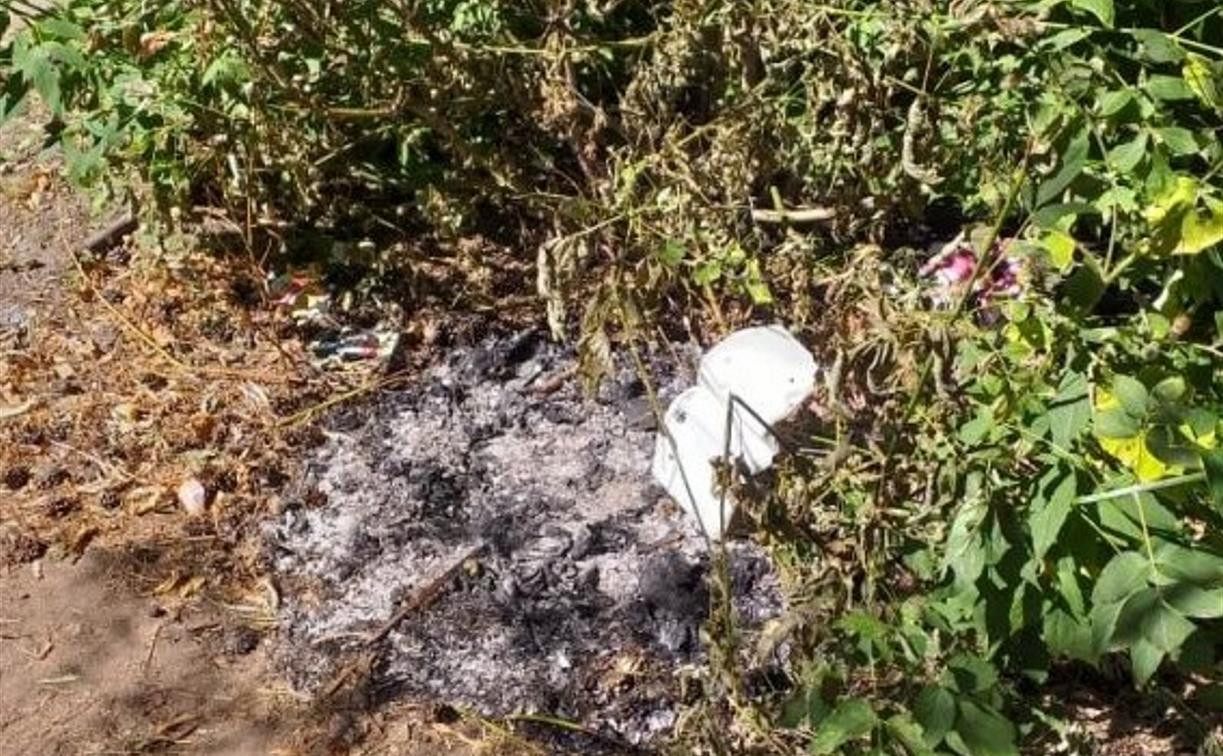 В Черни неизвестные садисты сожгли коробку с котятами